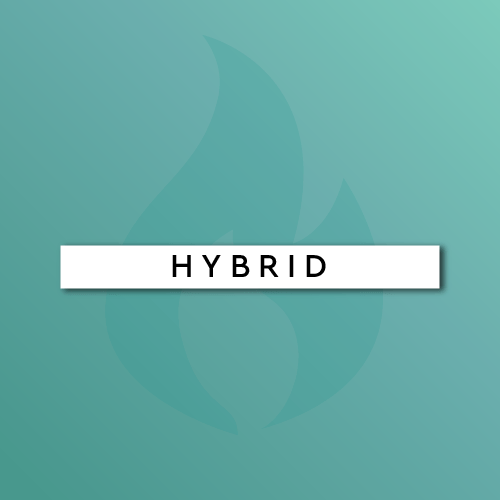 Hybrid