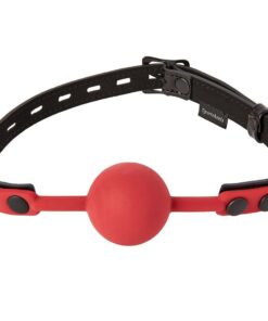 Ball Gags