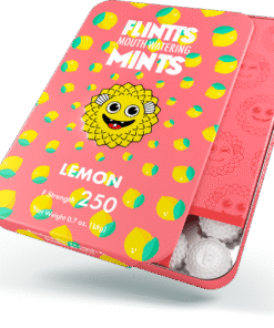 Flintts Mouthwatering Mints sugar free breath mints
