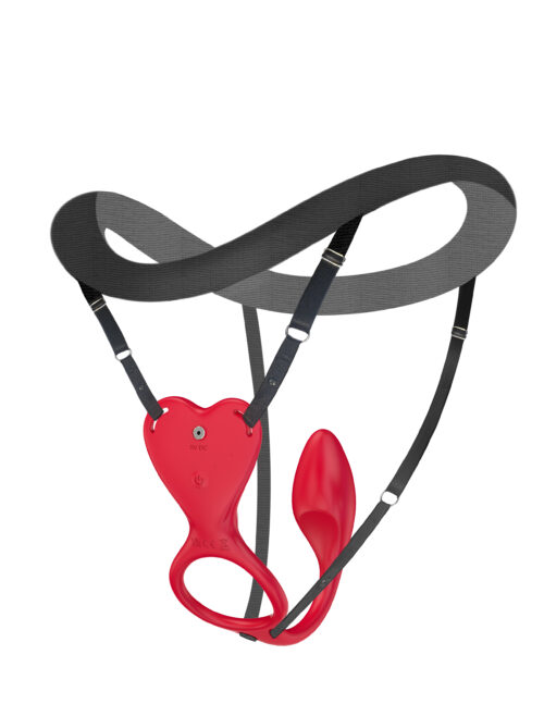 Cliff Hanger wearable panty vibe with remote control